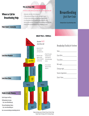 Breastfeeding Quick Start Guide modifiable - Wisconsin