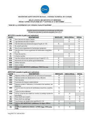 Bilan annuel des revenus et dépenses