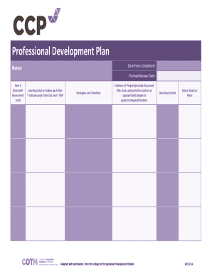 Professional Development Plan