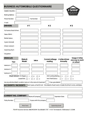 Business Automobile Questionnaire