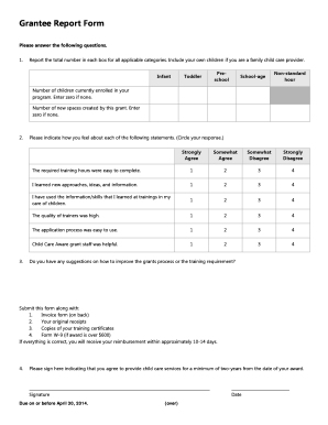 Grantee Report Form