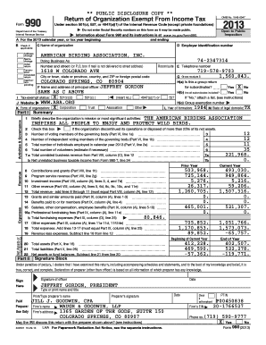 IRS Form 990 2013