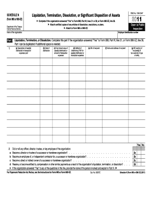 Schedule N Liquidation and Asset Disposition Form
