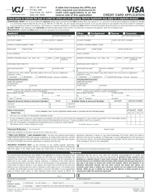 Visa Credit Card Application