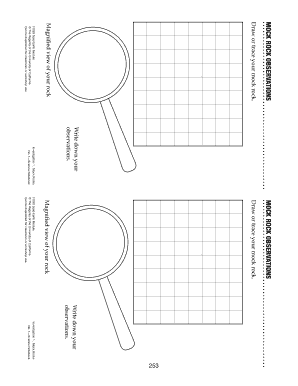Mock Rocks Science Notebook