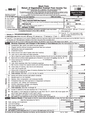 Form 990-EZ 2008