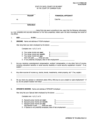 Ohio Financial Affidavit Form