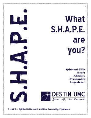 SHAPE Ministry Profile Form