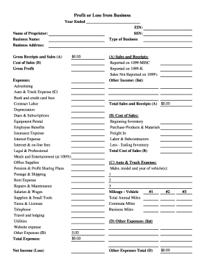Profit or Loss from Business Form