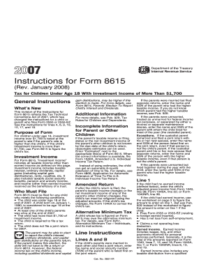 Form 8615 Instructions