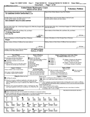 US Bankruptcy Court Voluntary Petition