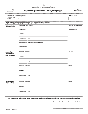 Danish Business Registration and Stamp Duty Form