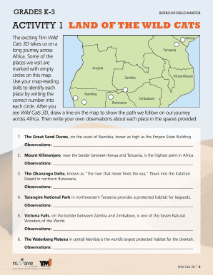 Wild Cats 3D Activity Worksheet