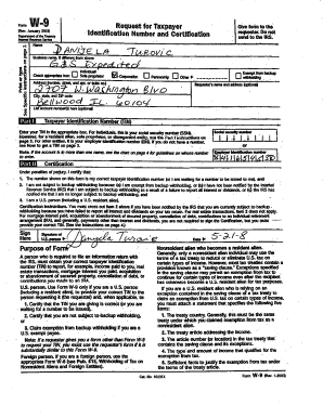 Form W-9 Request for Taxpayer Identification Number and Certification