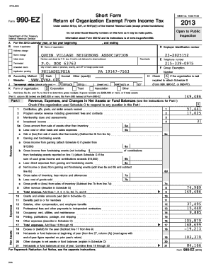 Form 990-EZ 2013