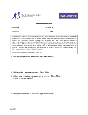 Big Brothers Big Sisters Mentor Reference Form