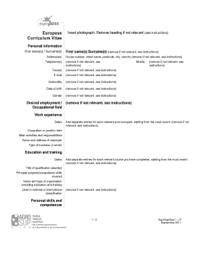 Europass Curriculum Vitae