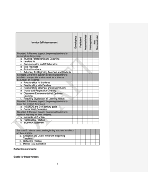 Mentor Self Assessment Form