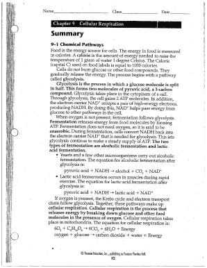Cellular Respiration Worksheet