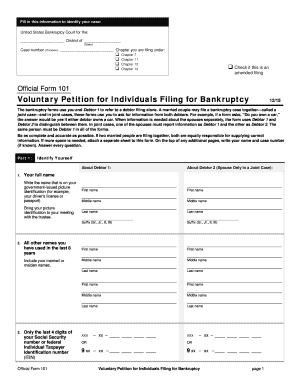 Voluntary Petition for Individuals Filing for Bankruptcy