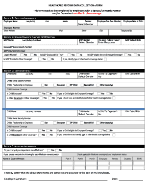 Healthcare Reform Data Collection Form