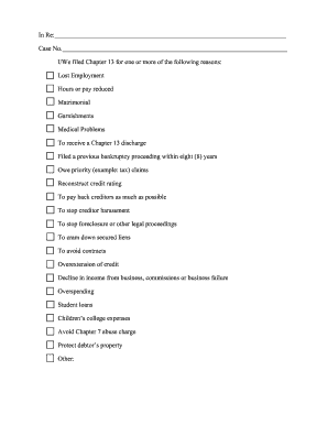 Chapter 13 Bankruptcy Petition