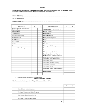 Society Financial Statement Form
