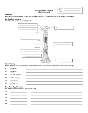 Bone Anatomy and Fractures Worksheet