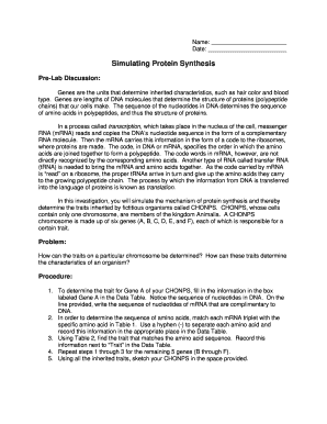 Protein Synthesis Lab Worksheet