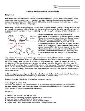 Carbohydrate Identification Lab Report