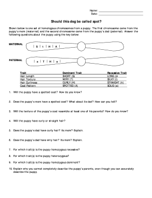 Should This Dog Be Called Spot Fill Online Printable Fillable Blank Pdffiller