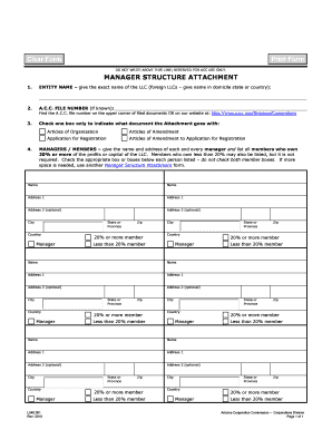 Arizona LLC Manager Structure Attachment