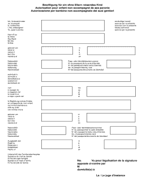 Minor Travel Authorization Form