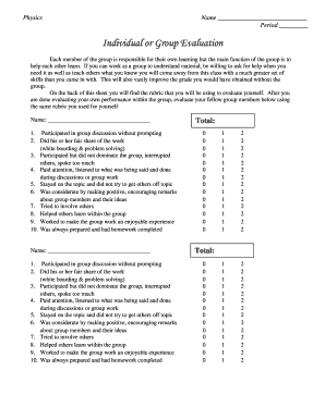 Physics Group Evaluation Form
