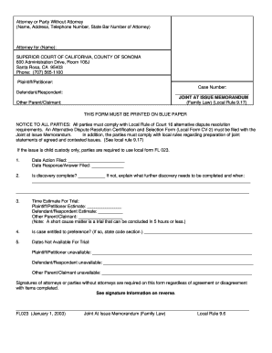 Joint At Issue Memorandum (Family Law)