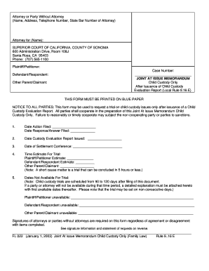 Joint At Issue Memorandum Child Custody Only