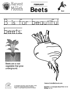 Beets Educational Worksheet