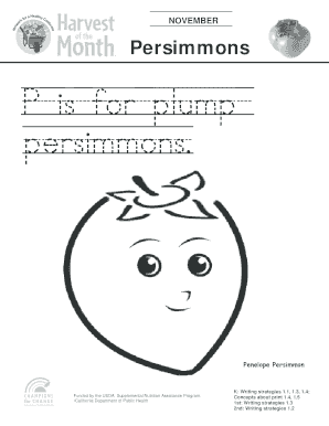 November Persimmons Educational Worksheet