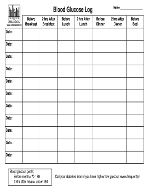 Blood Glucose Log