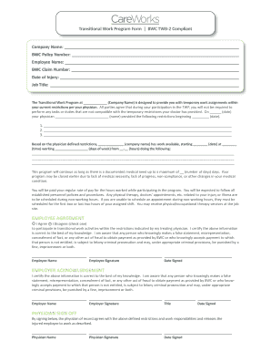Transitional Work Program Form BWC TWB-2