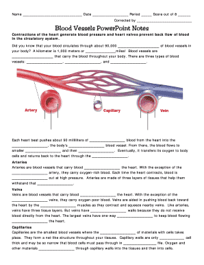 Blood Vessels PowerPoint Notes Worksheet
