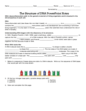 DNA Structure Worksheet