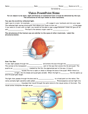 Vision PowerPoint Notes Worksheet