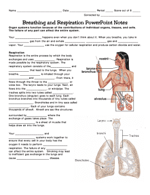Breathing and Respiration Worksheet
