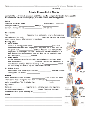 Joints Worksheet