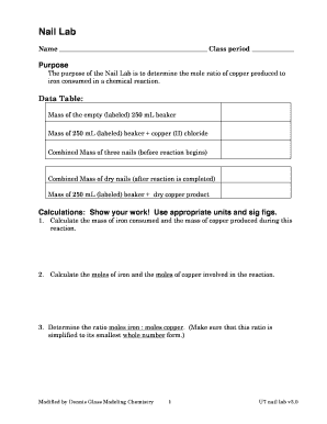 Nail Lab Experiment Form