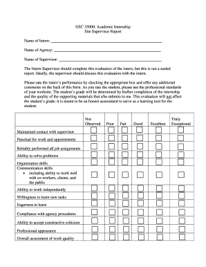 Academic Internship Supervisor Report