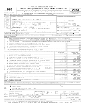 Form 990 2013