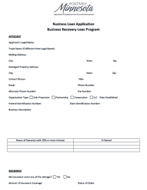Business Recovery Loan Application