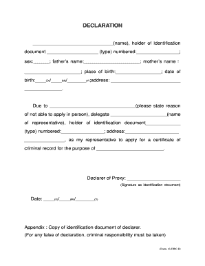 Declaration of Proxy for Criminal Record Certificate
